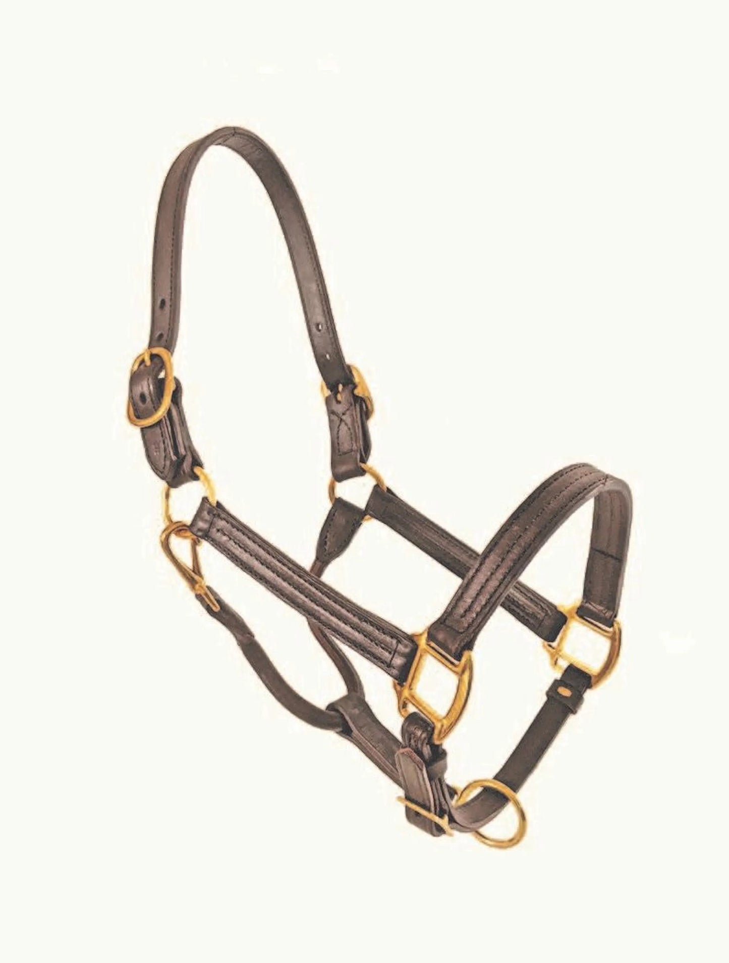 1" Track Halter