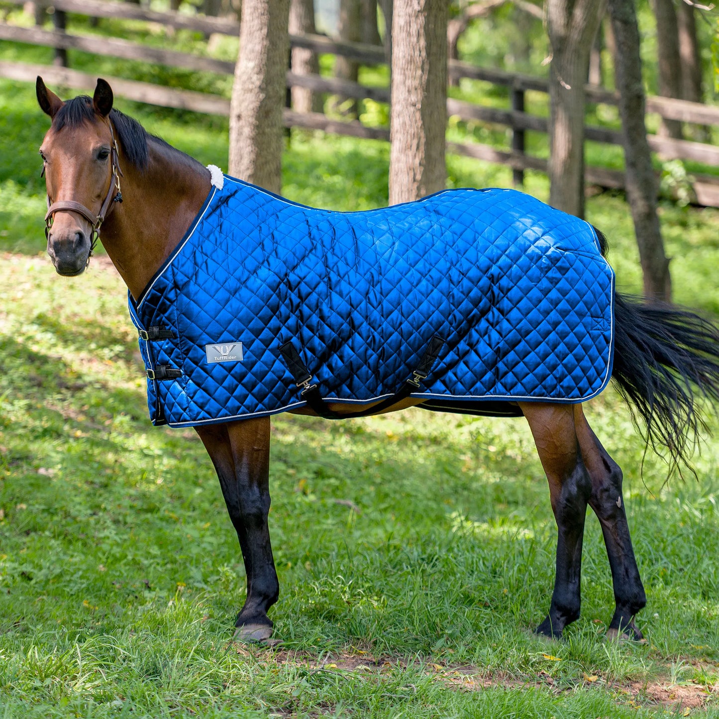 TuffRider Kozy Komfort Two Stable Blanket-420 D 200 GSM of fill- Black- 69