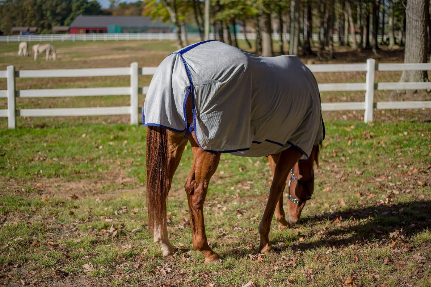 TuffRider Comfy Plus Standard Neck Fly Sheet