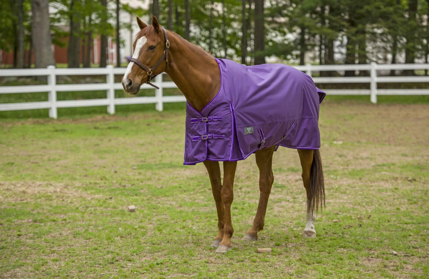 TuffRider 1600 D Super Comfy Standard Neck Blanket