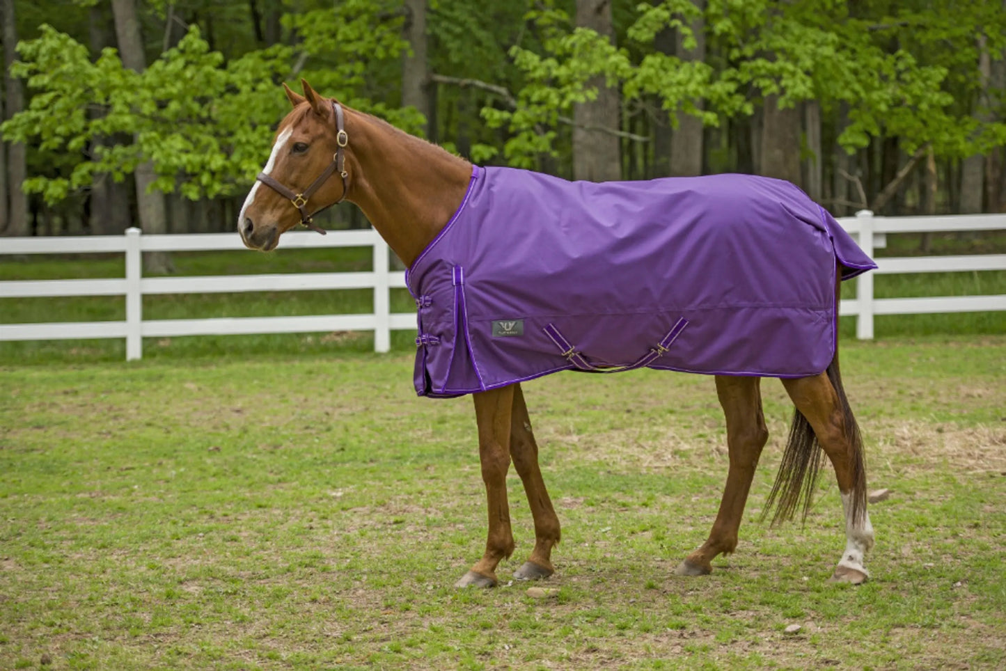 TuffRider 1600 D Super Comfy Standard Neck Blanket