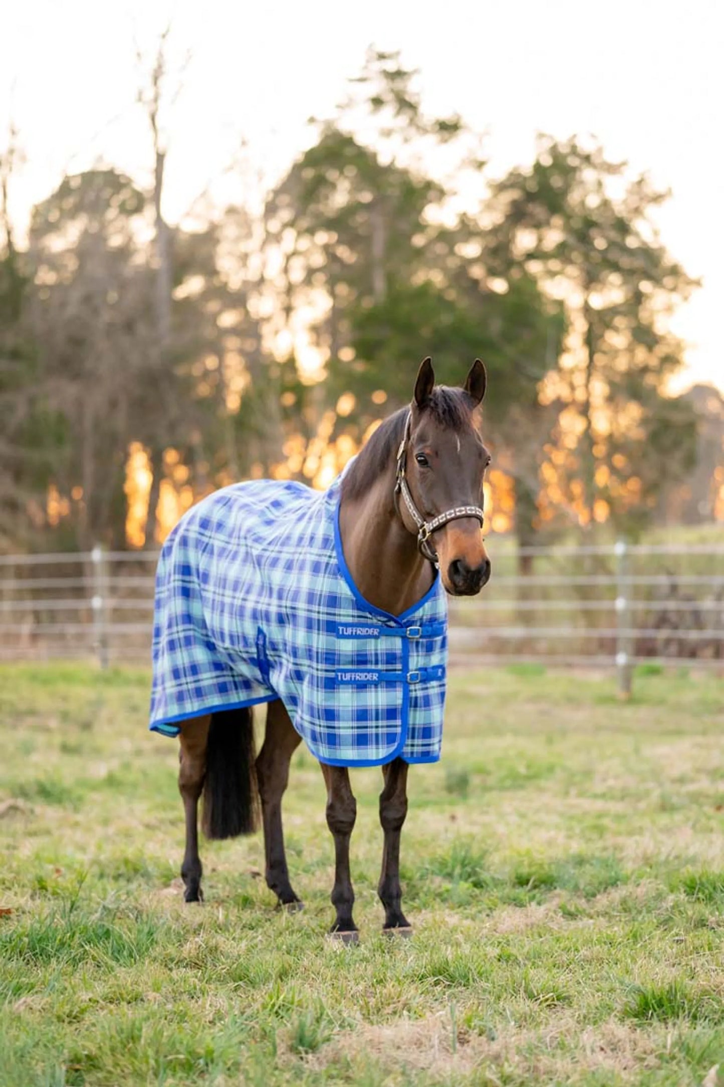 TuffRider Texilene Shoulder Lining FlyShield Sheet -Black /Grey -66