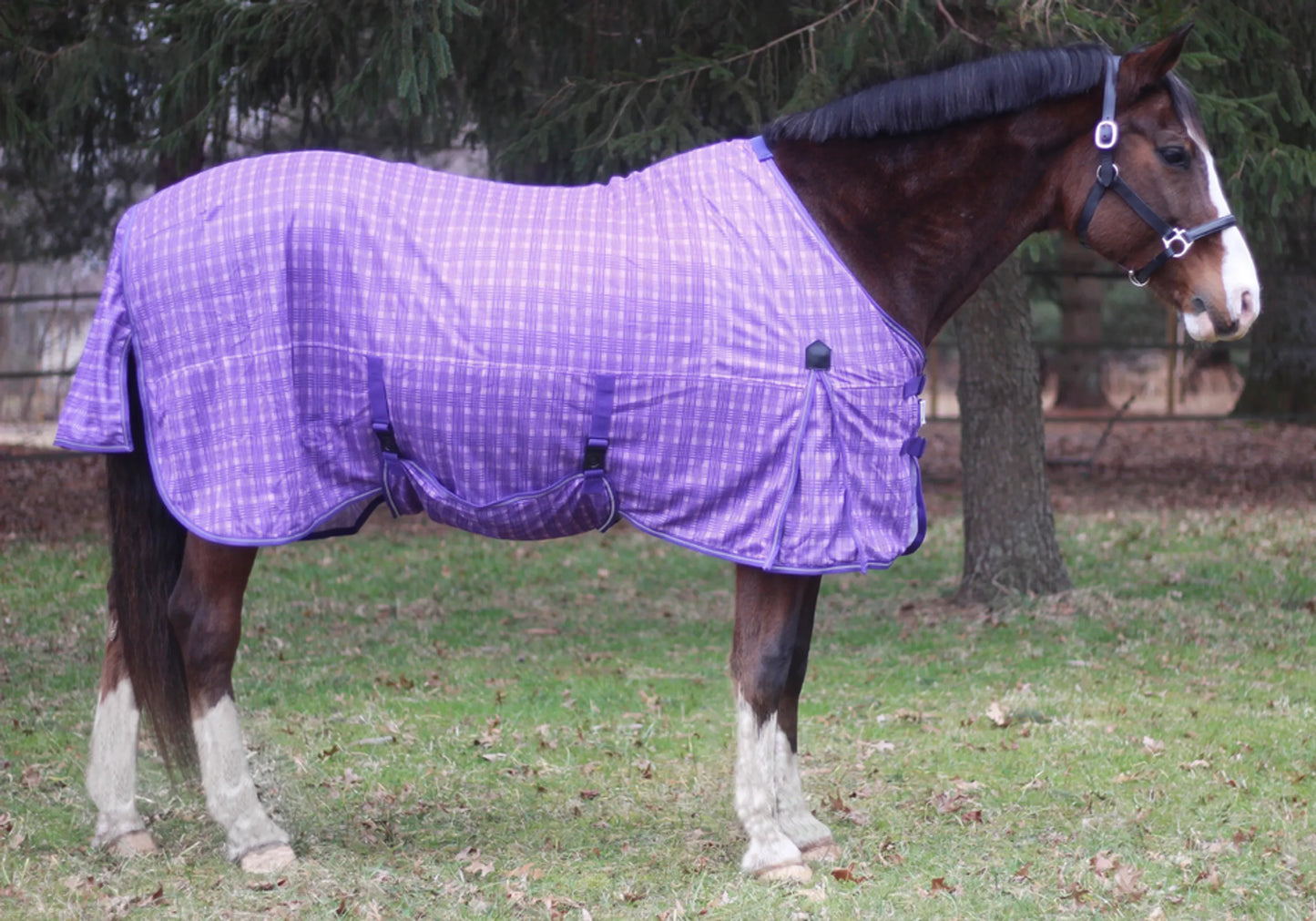 TuffRider Power Mesh Plaid Fly Sheet