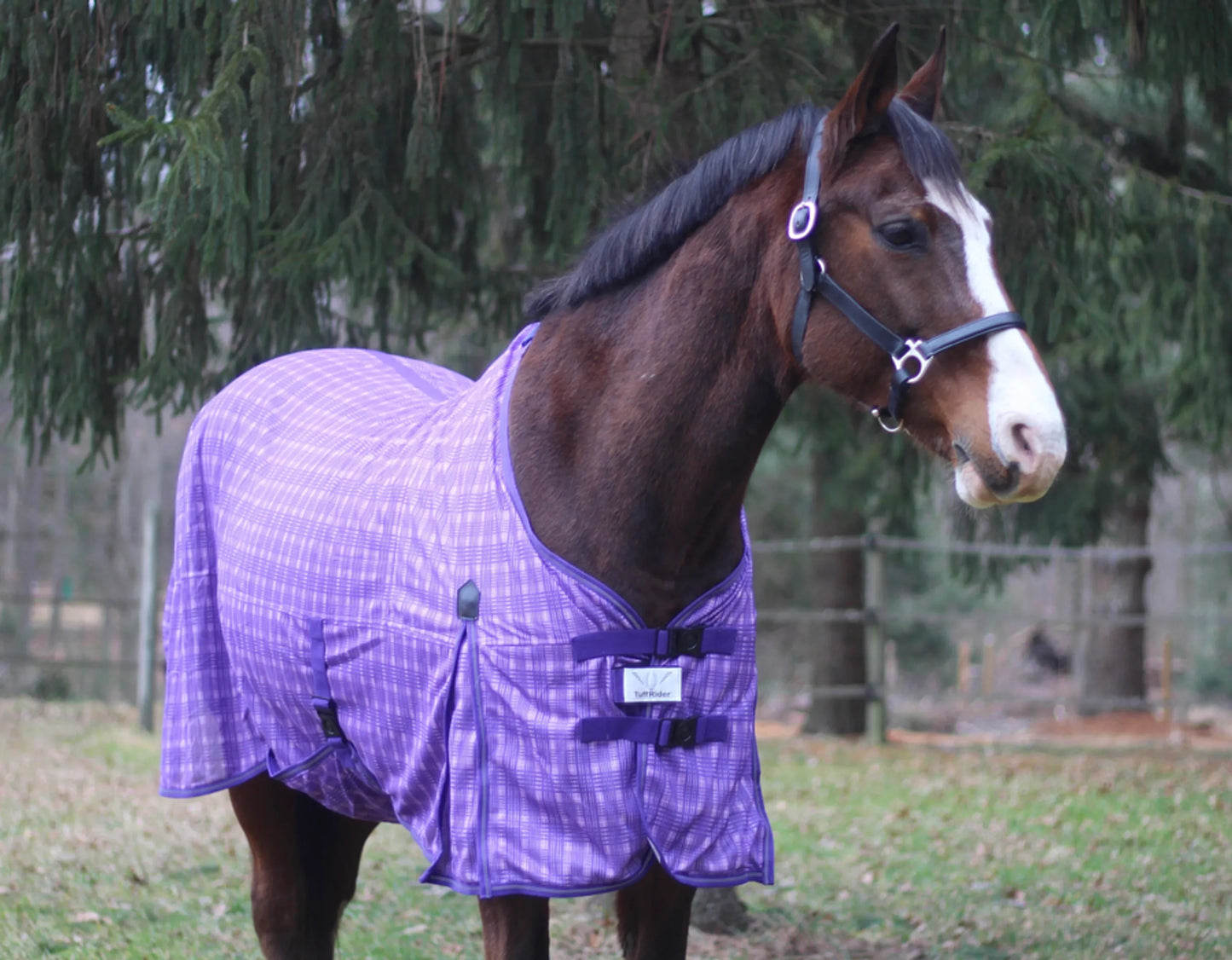 TuffRider Power Mesh Plaid Fly Sheet