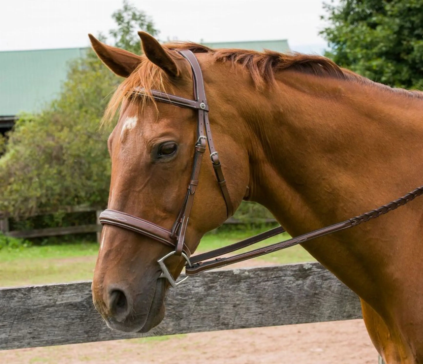 Henri de Rivel Pro Mono Crown Bridle with Padded Wide Noseband with Laced Reins