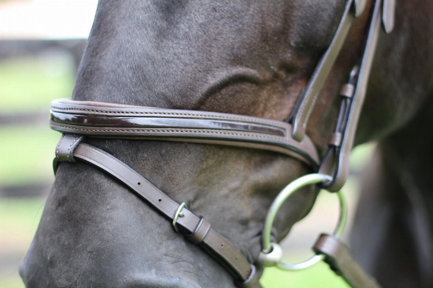 Henri de Rivel Pro Piaffe Mono Crown Bridle with Flash Noseband with Patent Leather and webbed rubber reins with leather stops