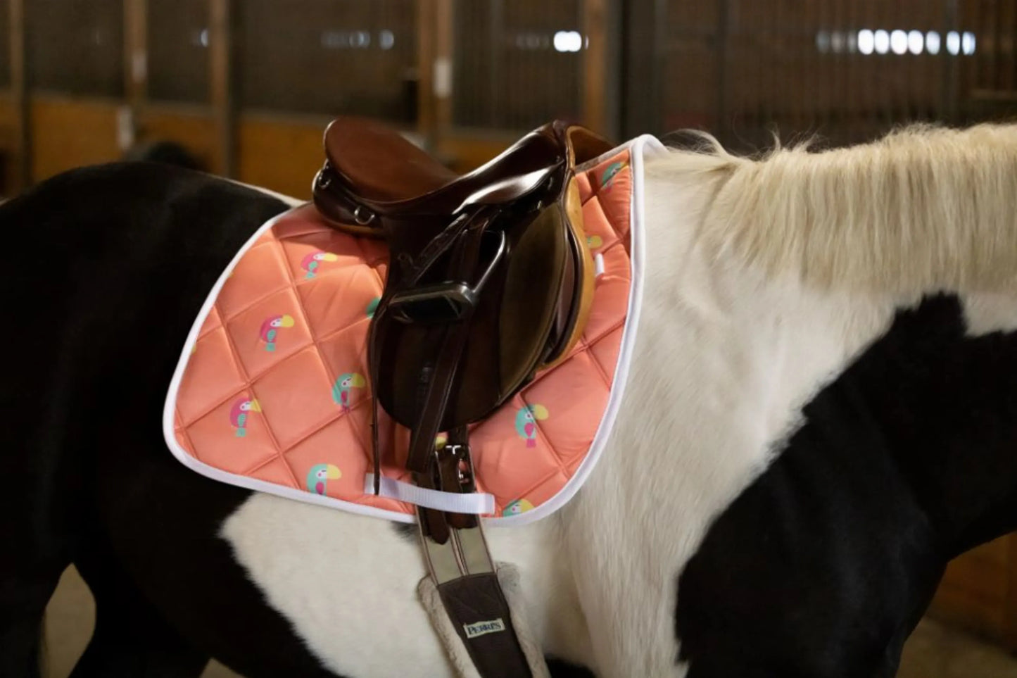 Lettia Toucan All Purpose Pad