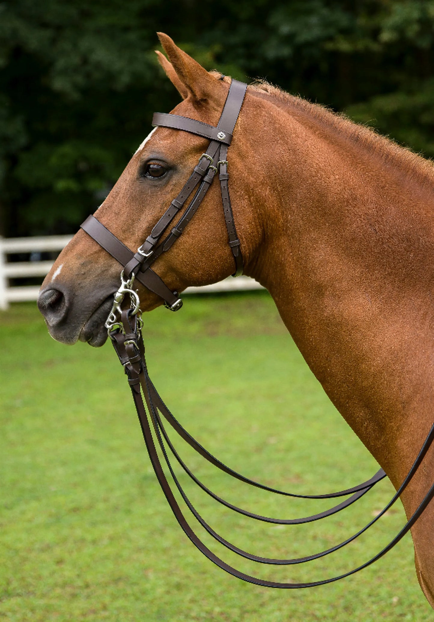 HENRI DE RIVEL POLO BRIDLE WITH DOUBLE REINS