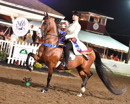 Entering the Equestrian Industry – What to Know and How EquineFind Can Help