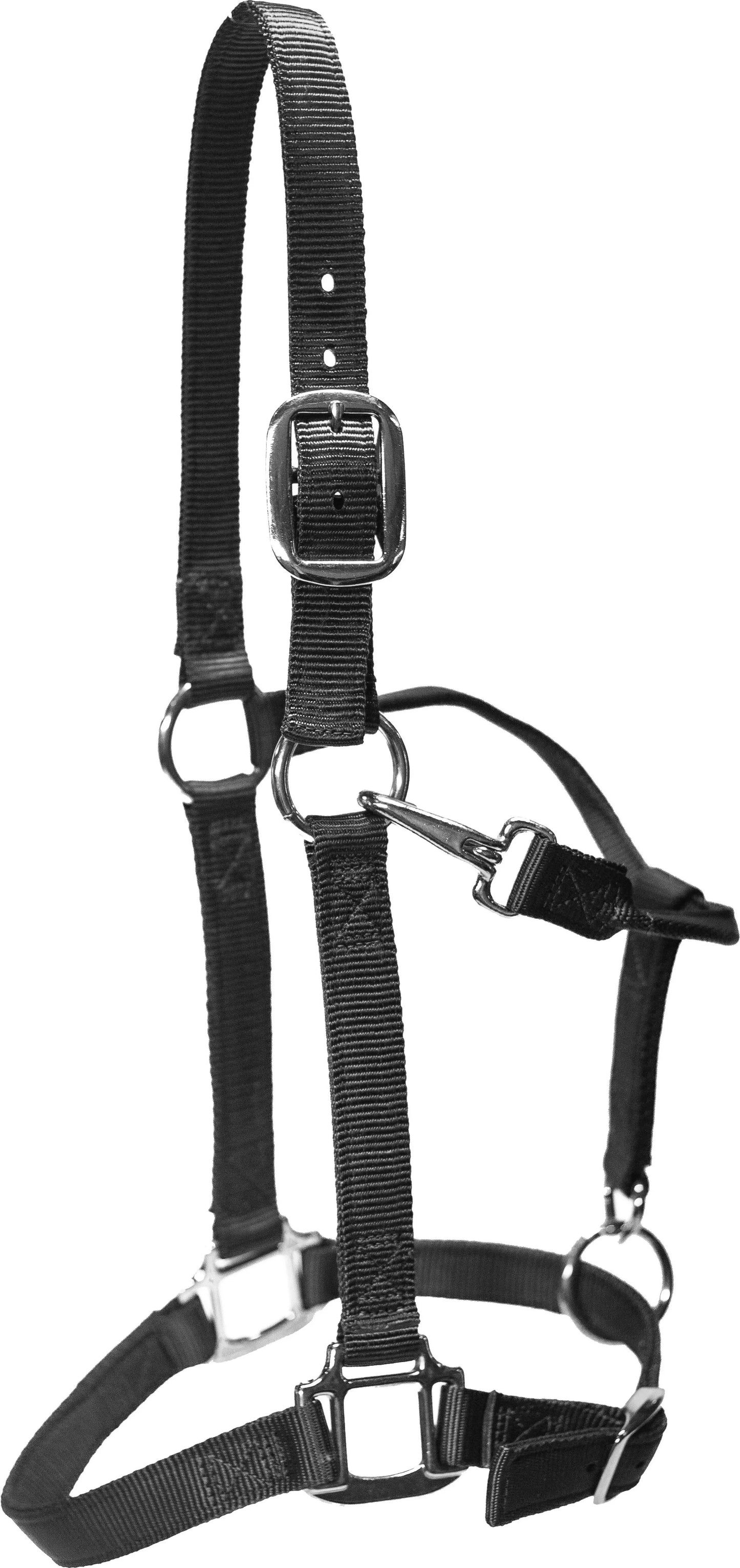 Nylon Halters  - Pack Of: 1