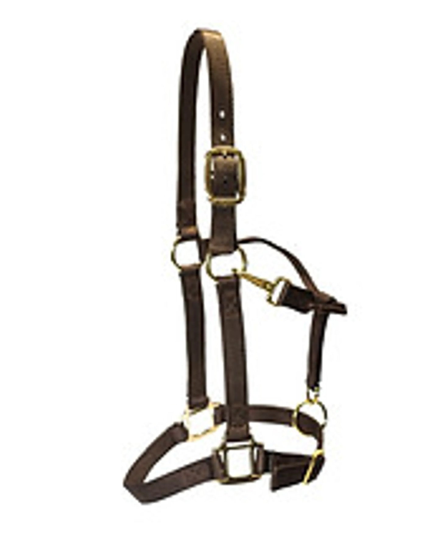 Nylon Halters  - Pack Of: 1