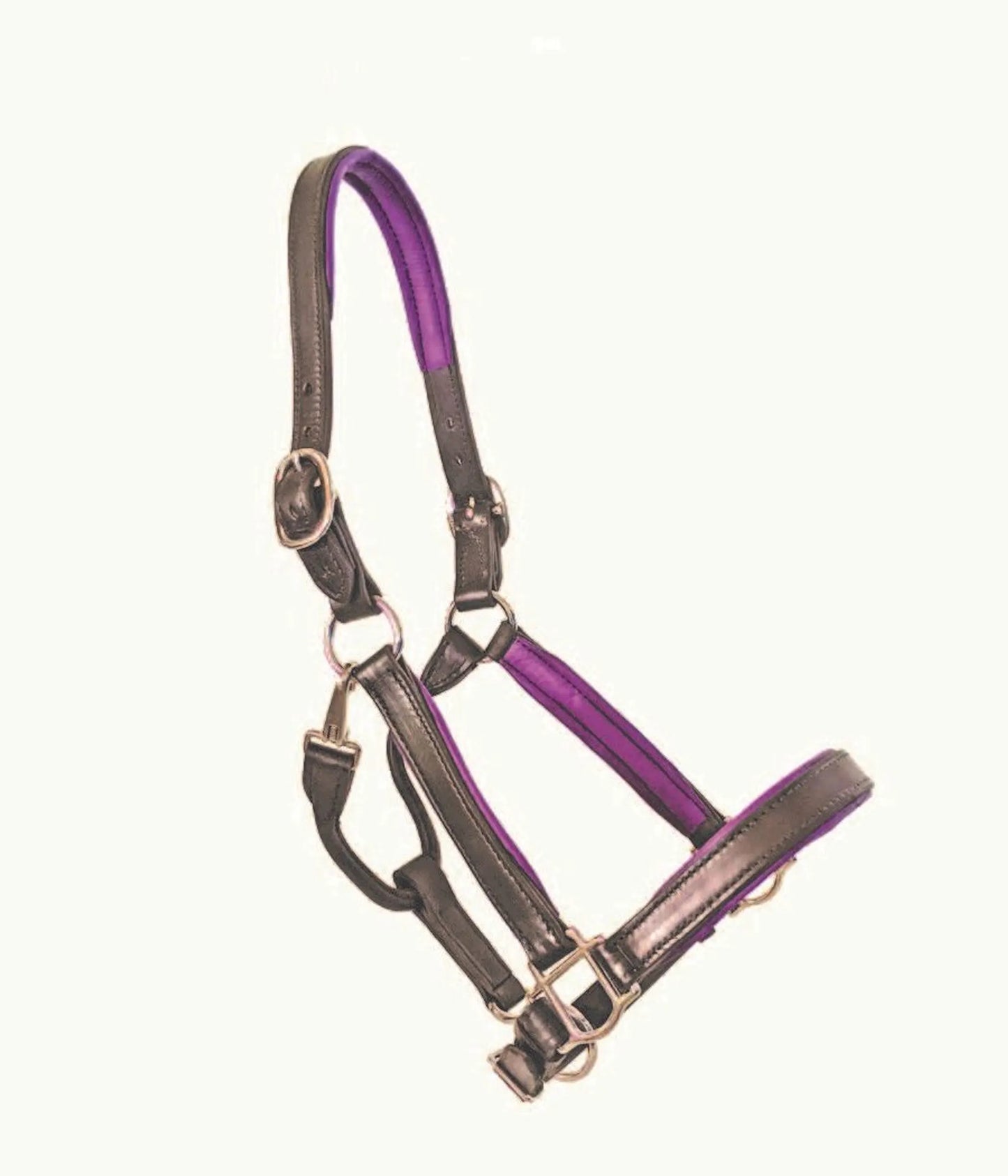 1" Black Padded Halter