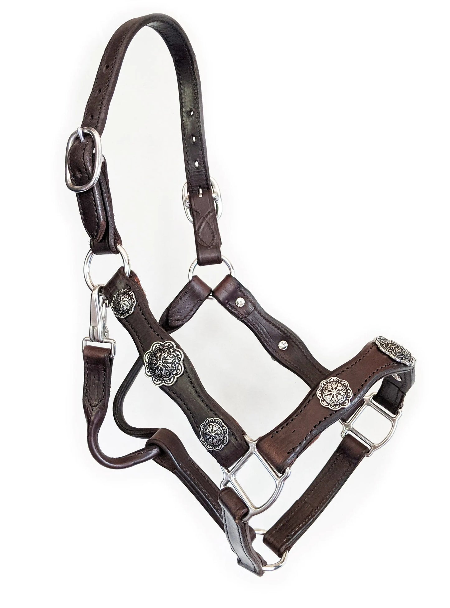 Scalloped Leather Halter with Conchos