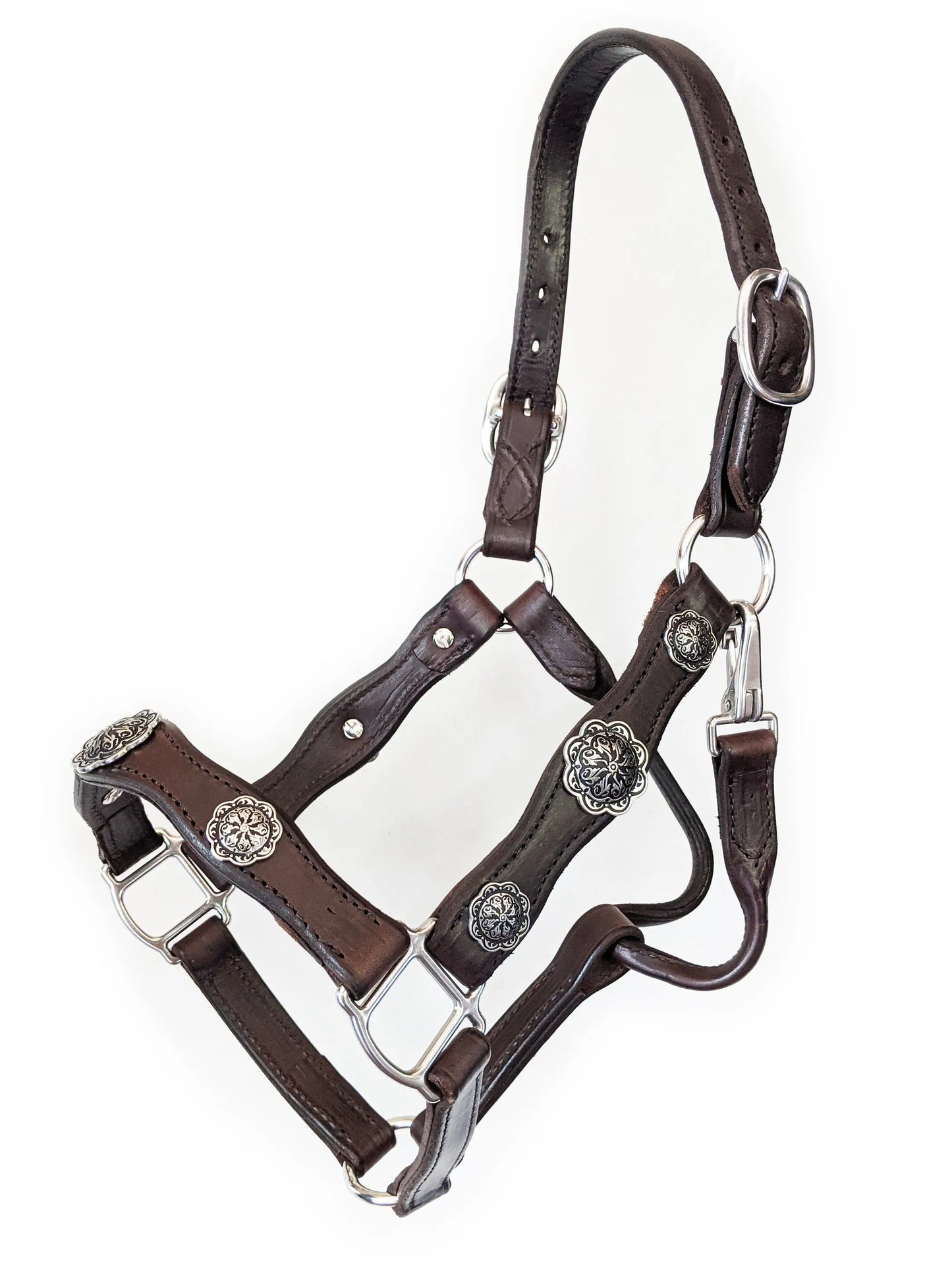 Scalloped Leather Halter with Conchos