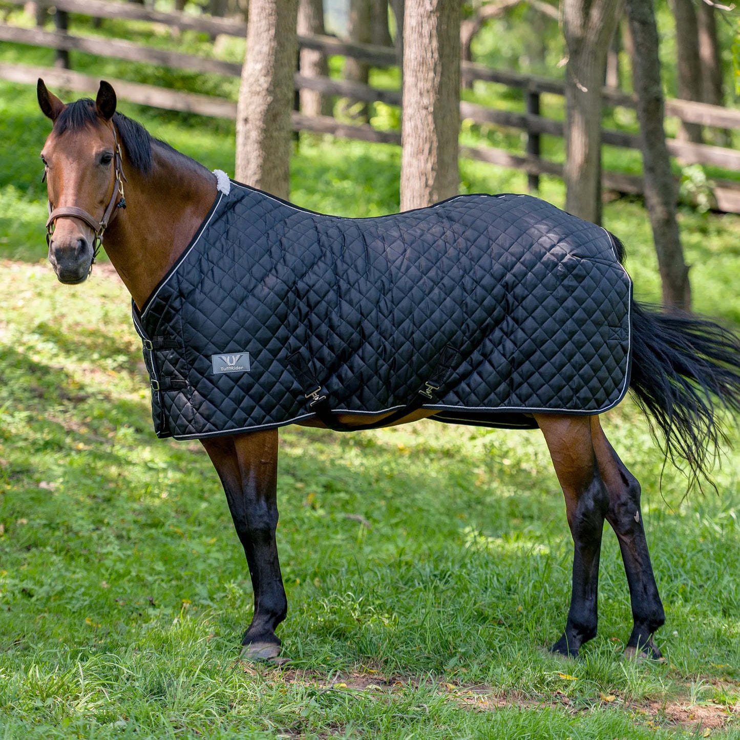 TuffRider Kozy Komfort Two Stable Blanket-420 D 200 GSM of fill- Black- 69