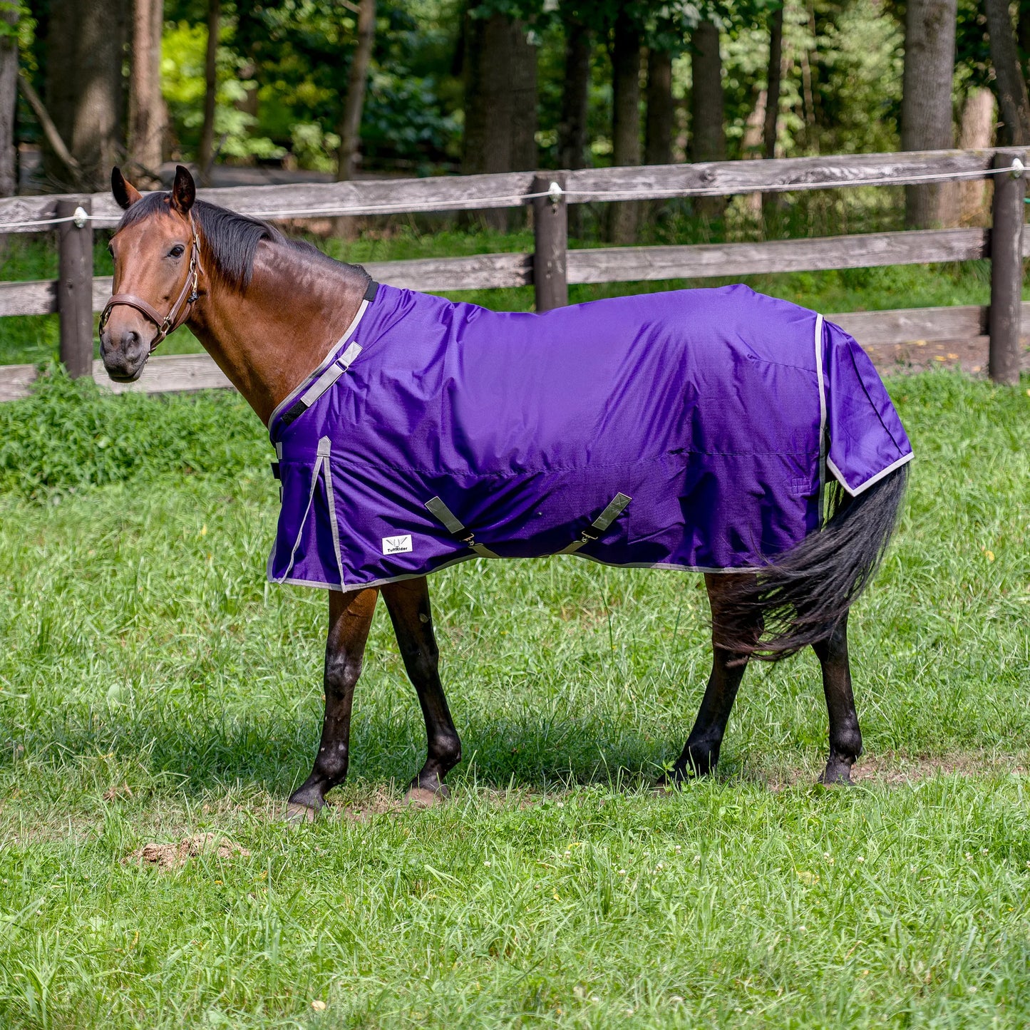 TuffRider Comfy-Fit Medium Weight Standard Neck Turnout Blanket w/ Adjustable Neck Opening- 1200D, 200 GSM- Purple- 84