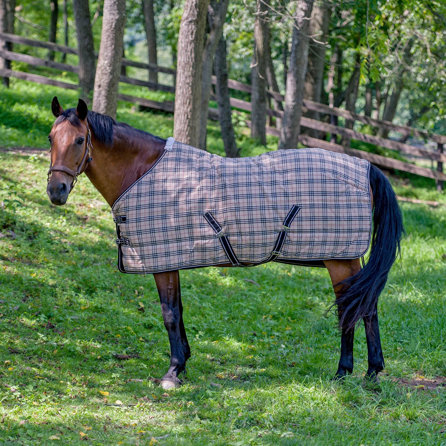 TuffRider Comfy Standard Neck Medium Weight Stable Blanket- 1200D, 200 GSM- Beige and Black Plaid- 69