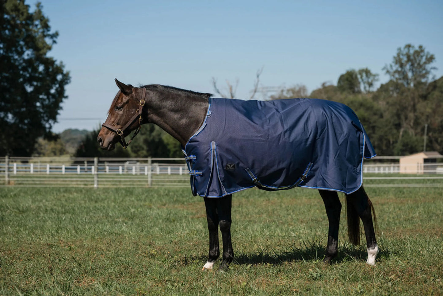 TuffRider Comfy Fit 1200 D RipStop Waterproof/Breathable  Comfy Winter Turnout Blanket Medium Weight 200 GSM Standard Neck W/Adjustable Neck - Single Sheet - Navy  w/Blue/Grey Trim -69