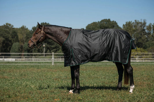 TuffRider 600D RipStop Waterproof/Breathable  Comfy Winter Turnout Blanket Medium Weight 200 GSM Standard Neck - Black w Green/Black Trim -69