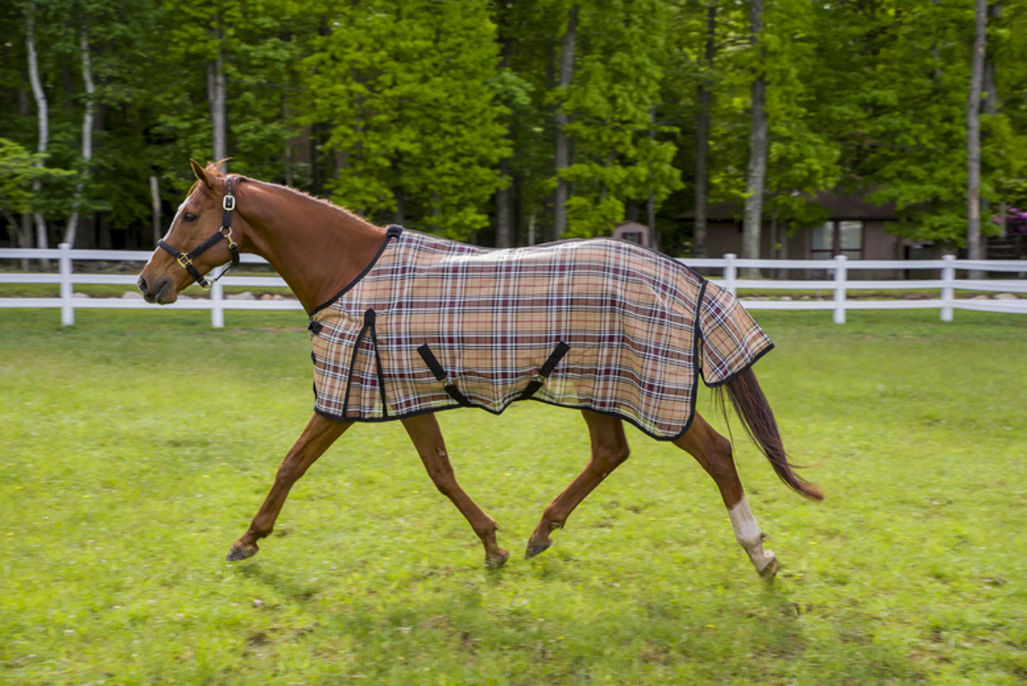 TuffRider Textelene Flyshield Sheet - Safari Plaid - 69