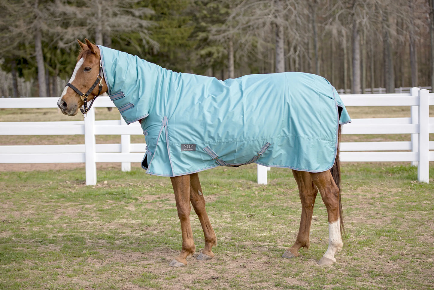 TuffRider 600 D Comfy Winter Medium Weight Turnout Blanket w/ Combo Neck- 200 GSM- Turquoise- 69