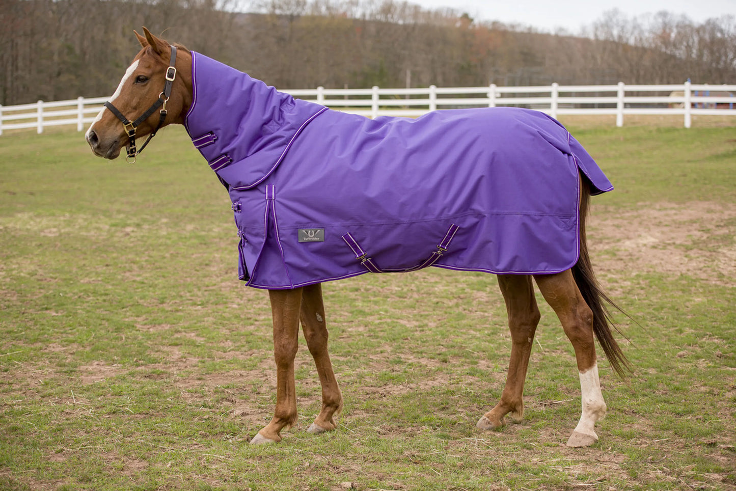 TuffRider 600 D Comfy Winter Medium Weight Turnout Blanket w/ Combo Neck- 200 GSM- Turquoise- 69