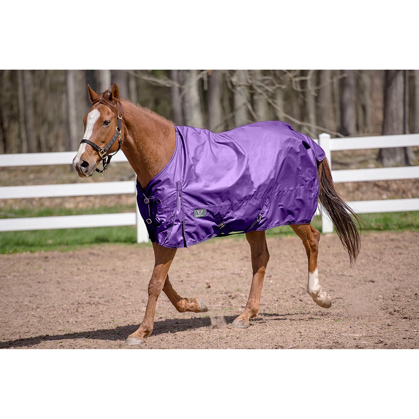 TuffRider 600 D Comfy Winter Standard Neck Turnout Sheet- Turquoise- 69