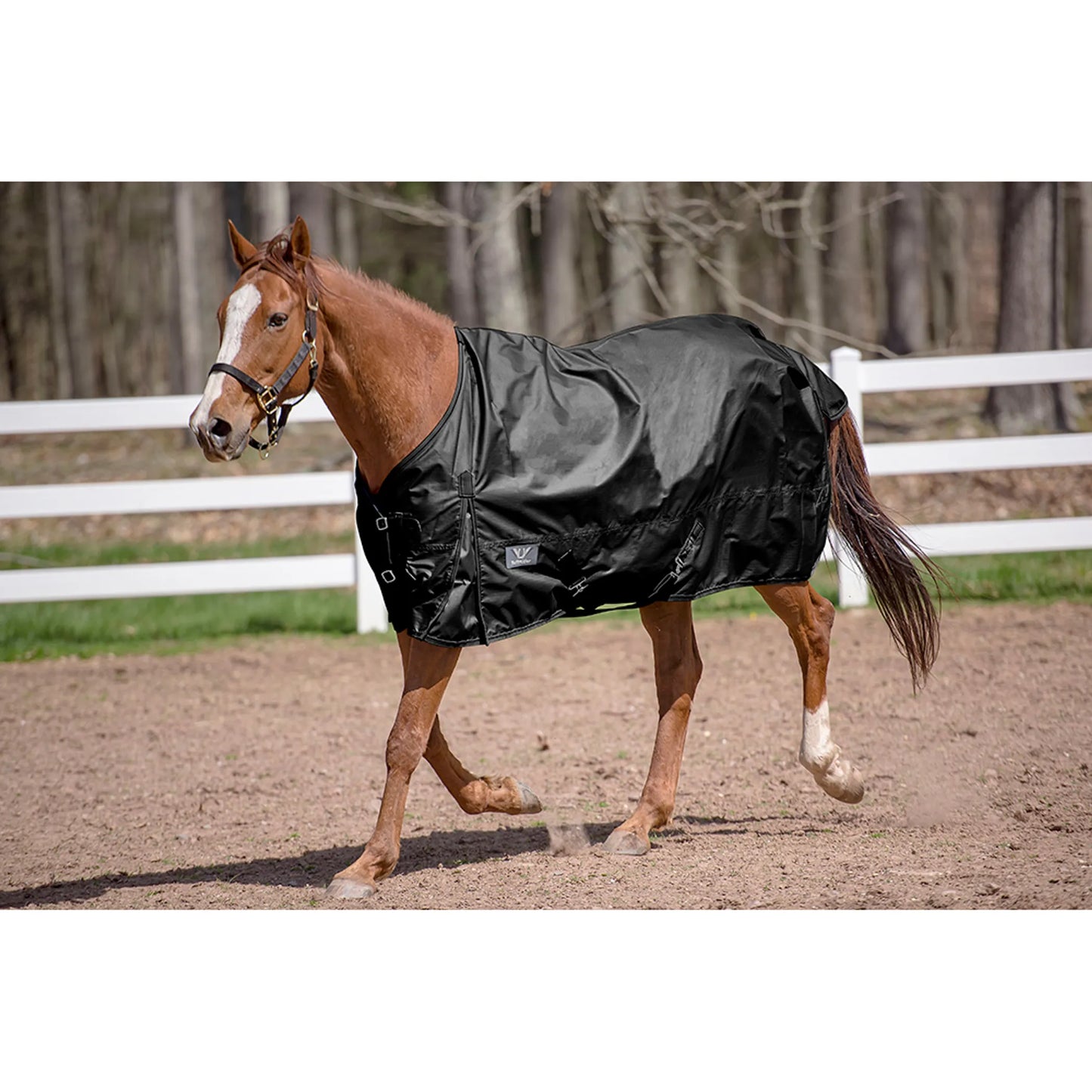 TuffRider 600 D Comfy Winter Standard Neck Turnout Sheet- Turquoise- 69