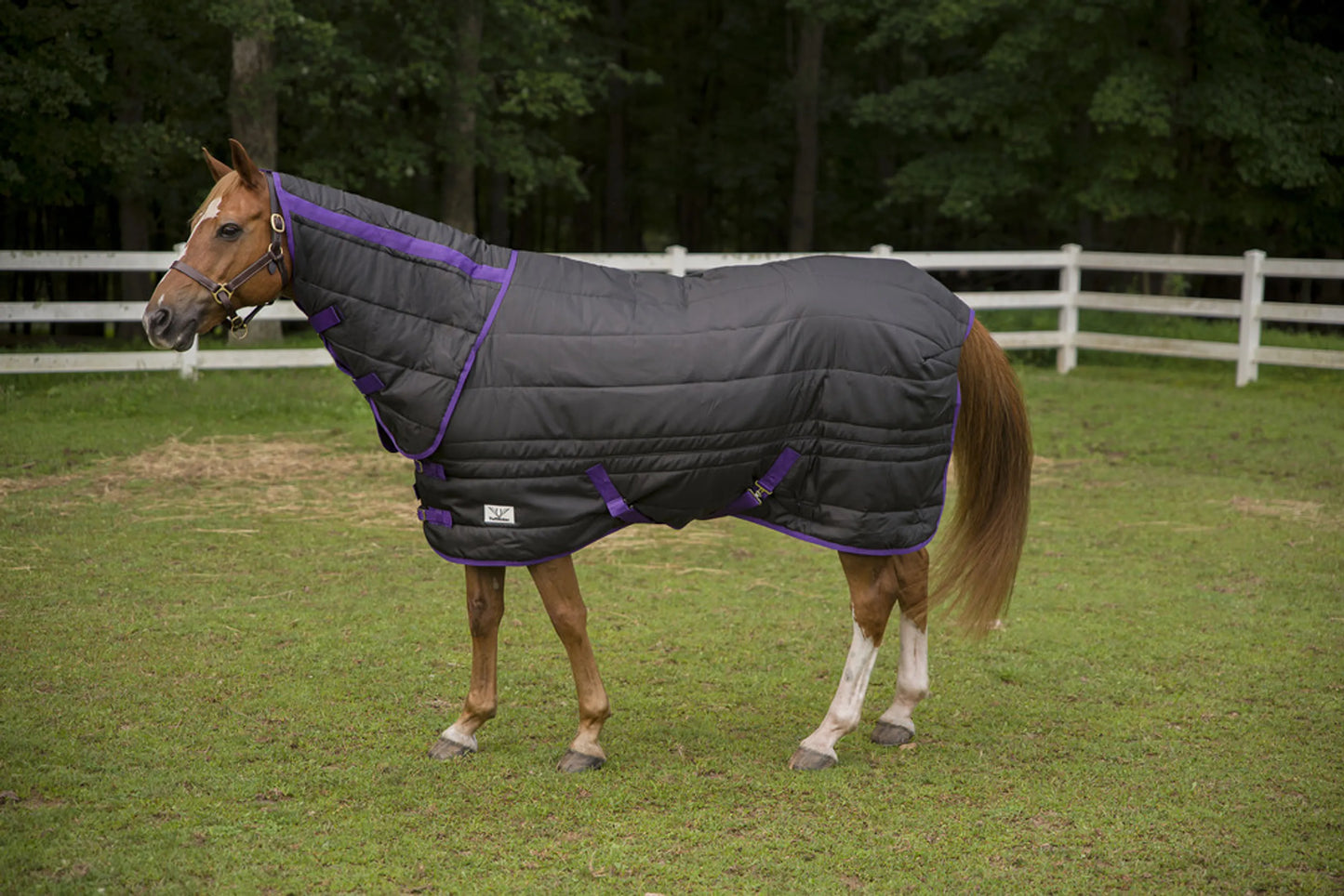 TUFFRIDER KOZY KOMFORT COMBO STABLE BLANKET- NAVY, 69