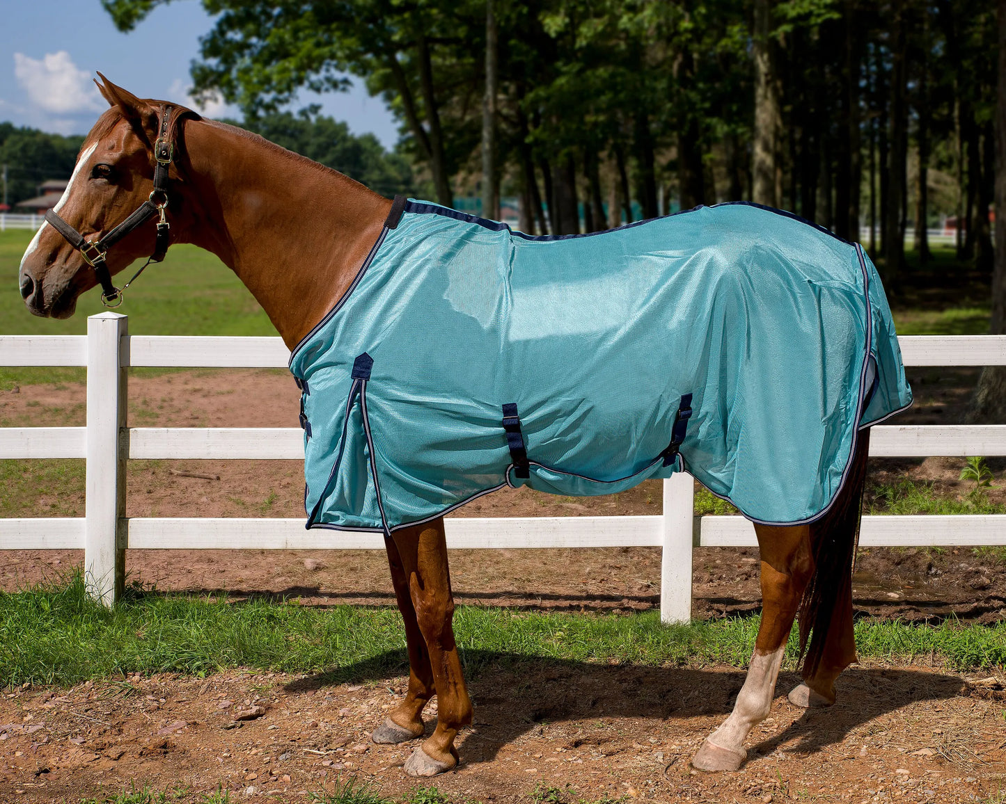 TuffRider Power Mesh Fly Sheet - Sea Angel - 69