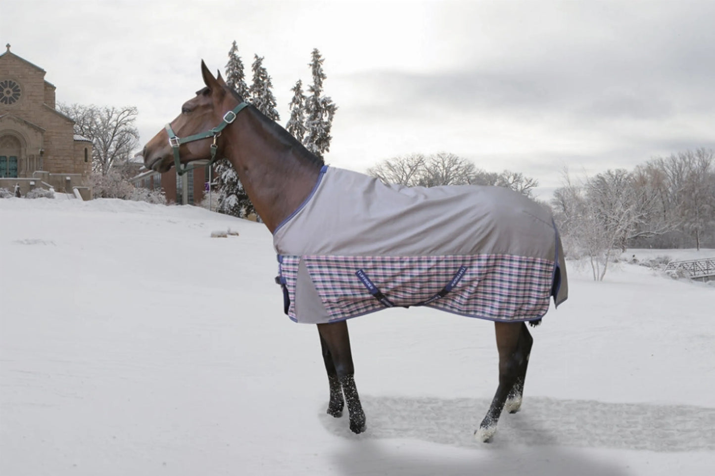 TuffRider Major 1200D Ballistic 220gms Medium Weight Turnout Blanket with a Standard Neck