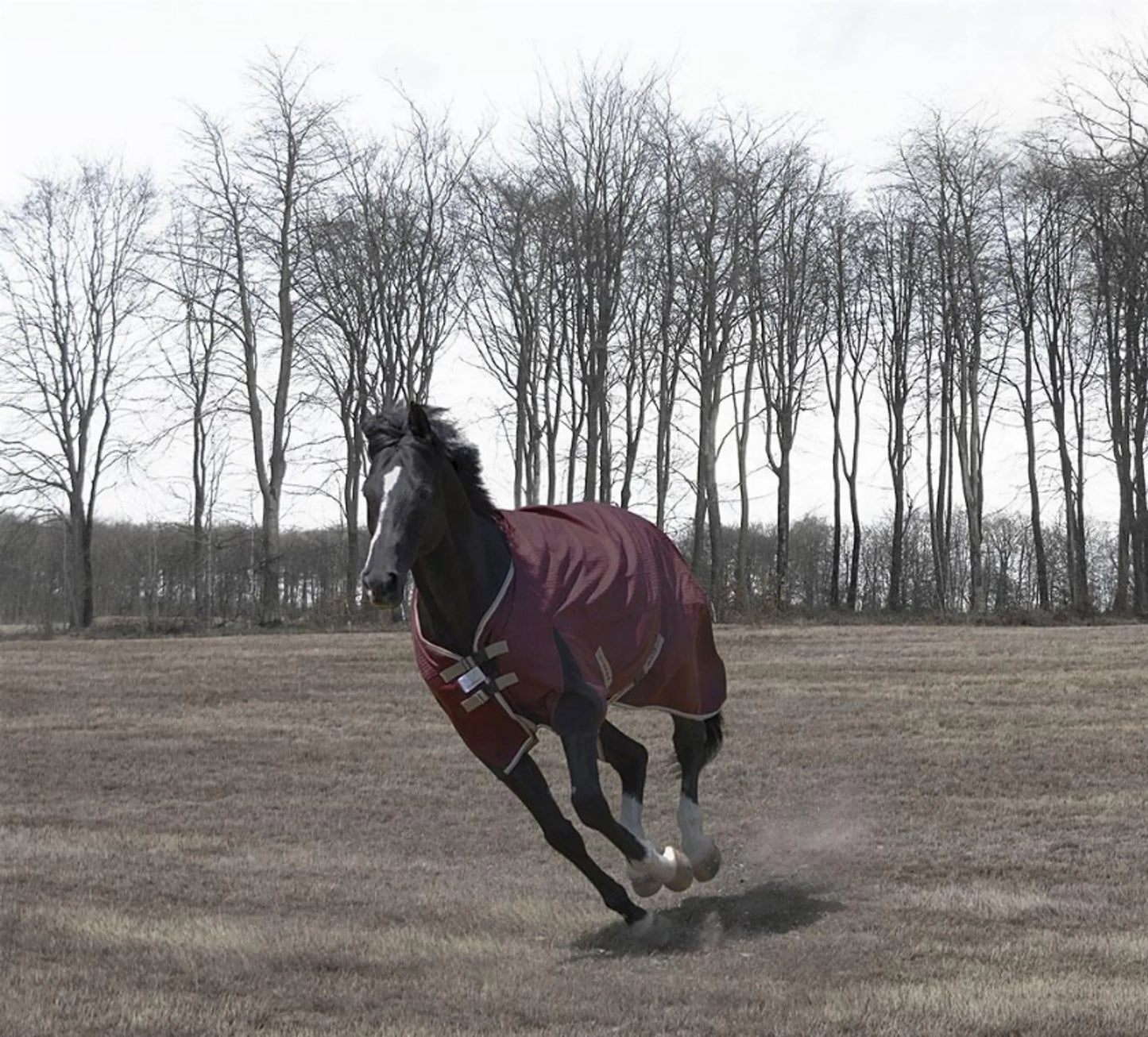 TuffRider Optimum 1680D Triple Weave Herringbone with Heavy Weight Thermo Manager To 360 GMS Detachable Neck Turnout