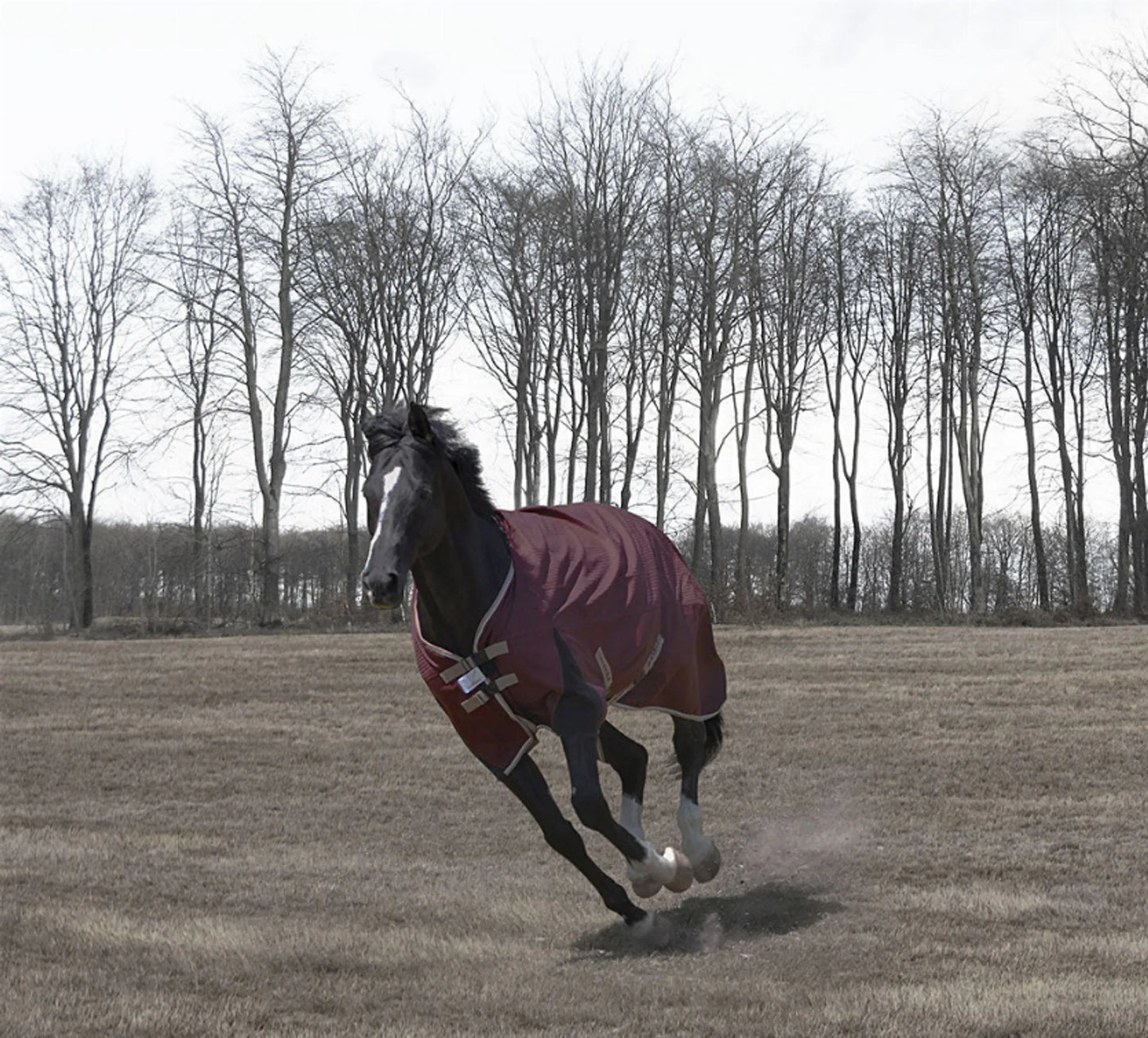 TuffRider Optimum 1680D Triple Weave Herringbone with Medium Weight Thermo Manager To 220 GMS Hi Neck Turnout