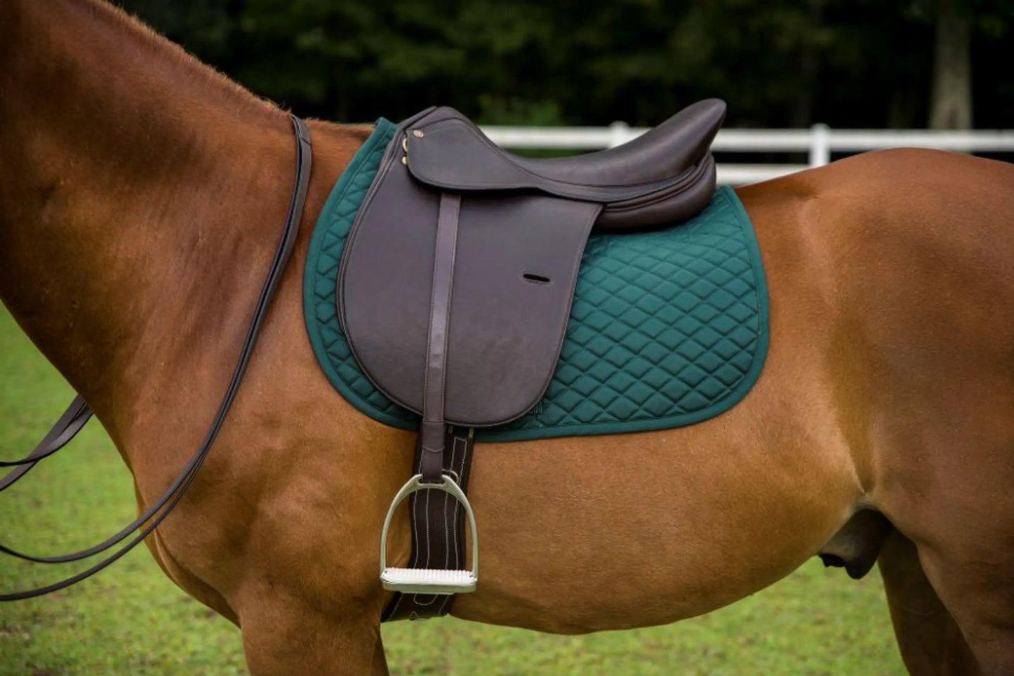 Henri De Rivel Jaipur Polo Saddle