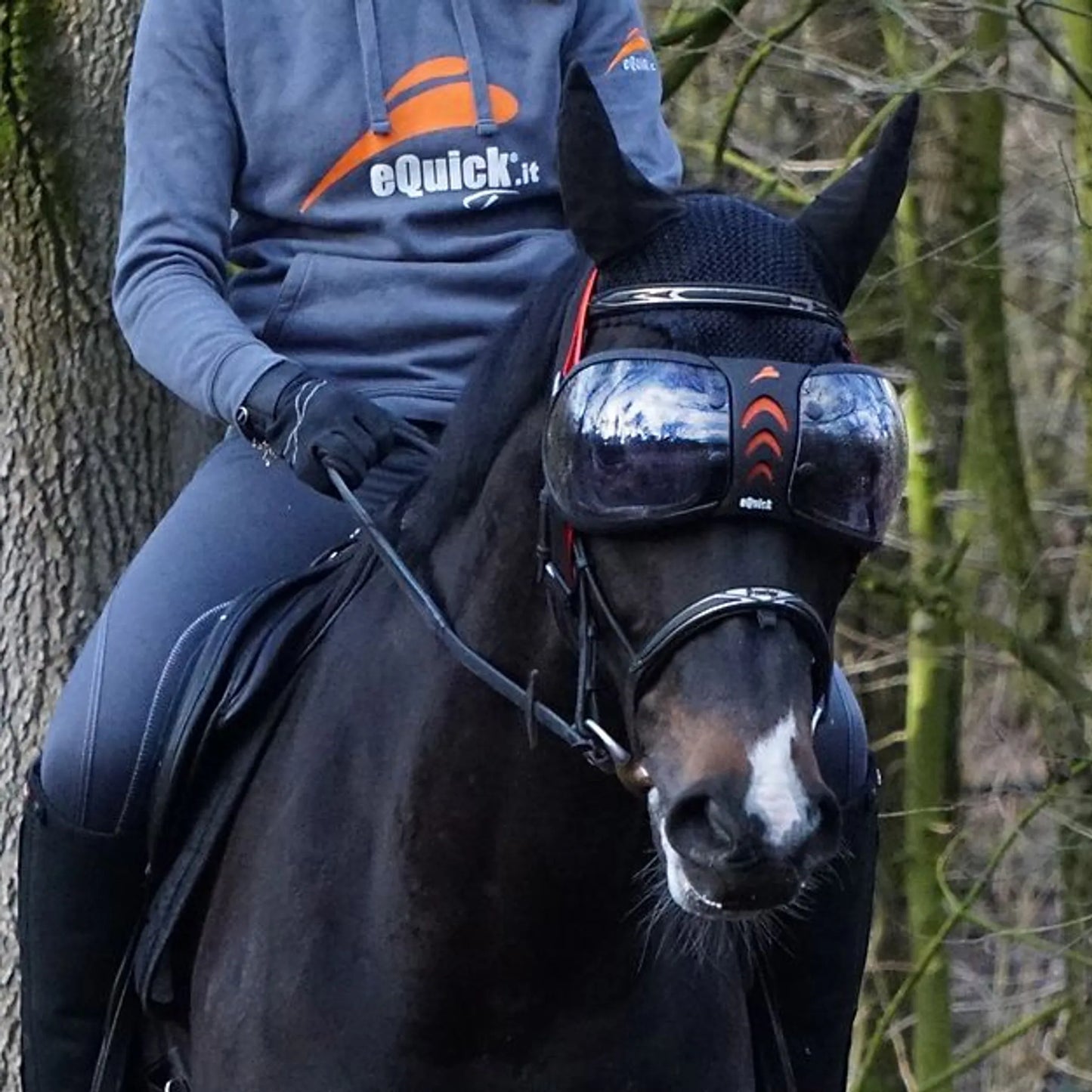 eQuick eVysor transparent