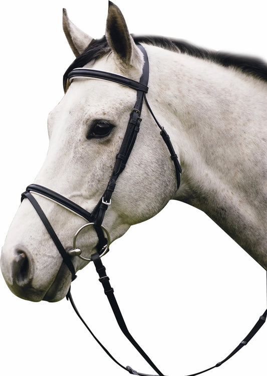Henri de Rivel Pro Padded Dressage Bridle with Flash and Web Reins - Black/White - Oversize