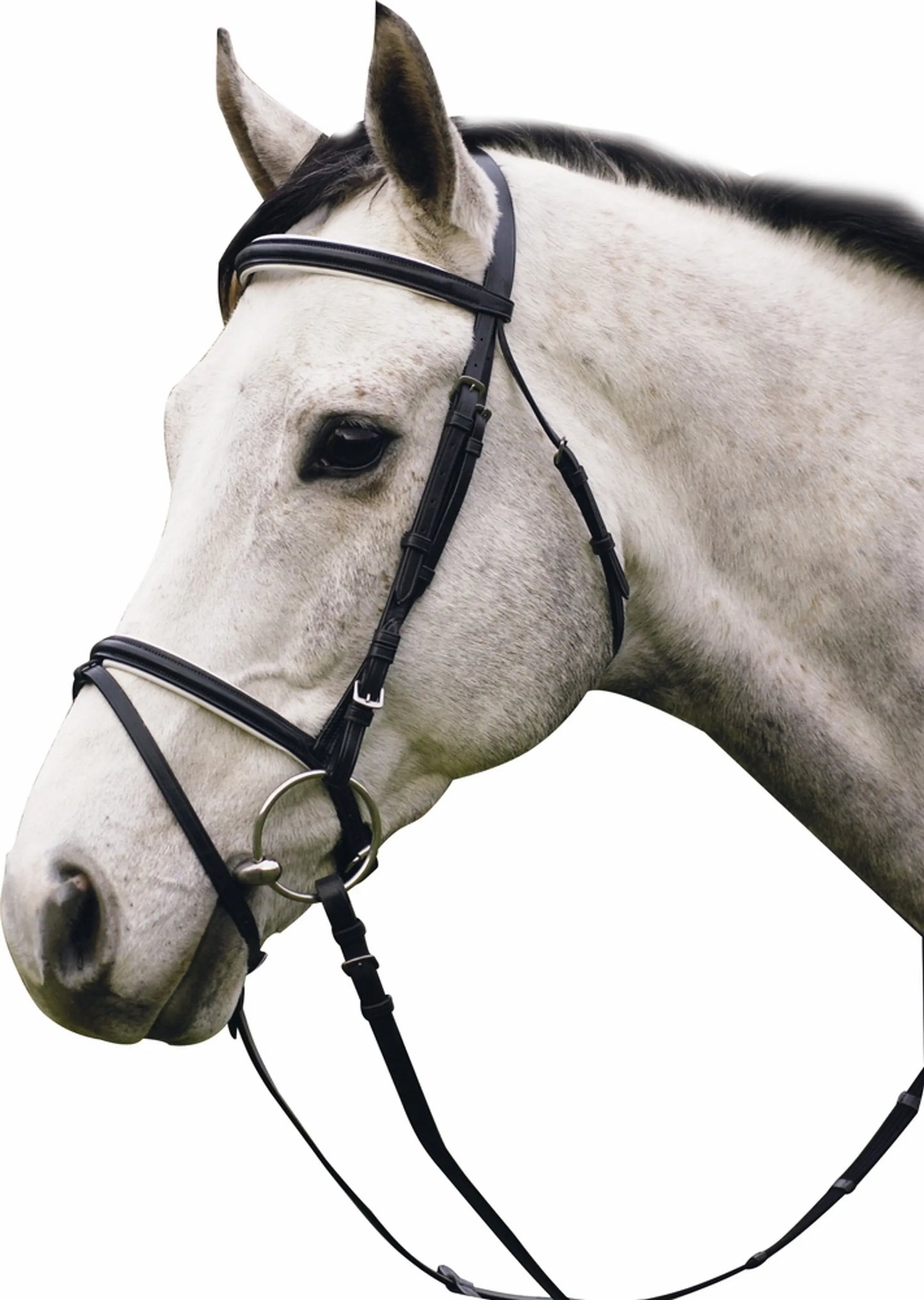 Henri de Rivel Pro Padded Dressage Bridle with Flash and Web Reins - Black/White - Oversize