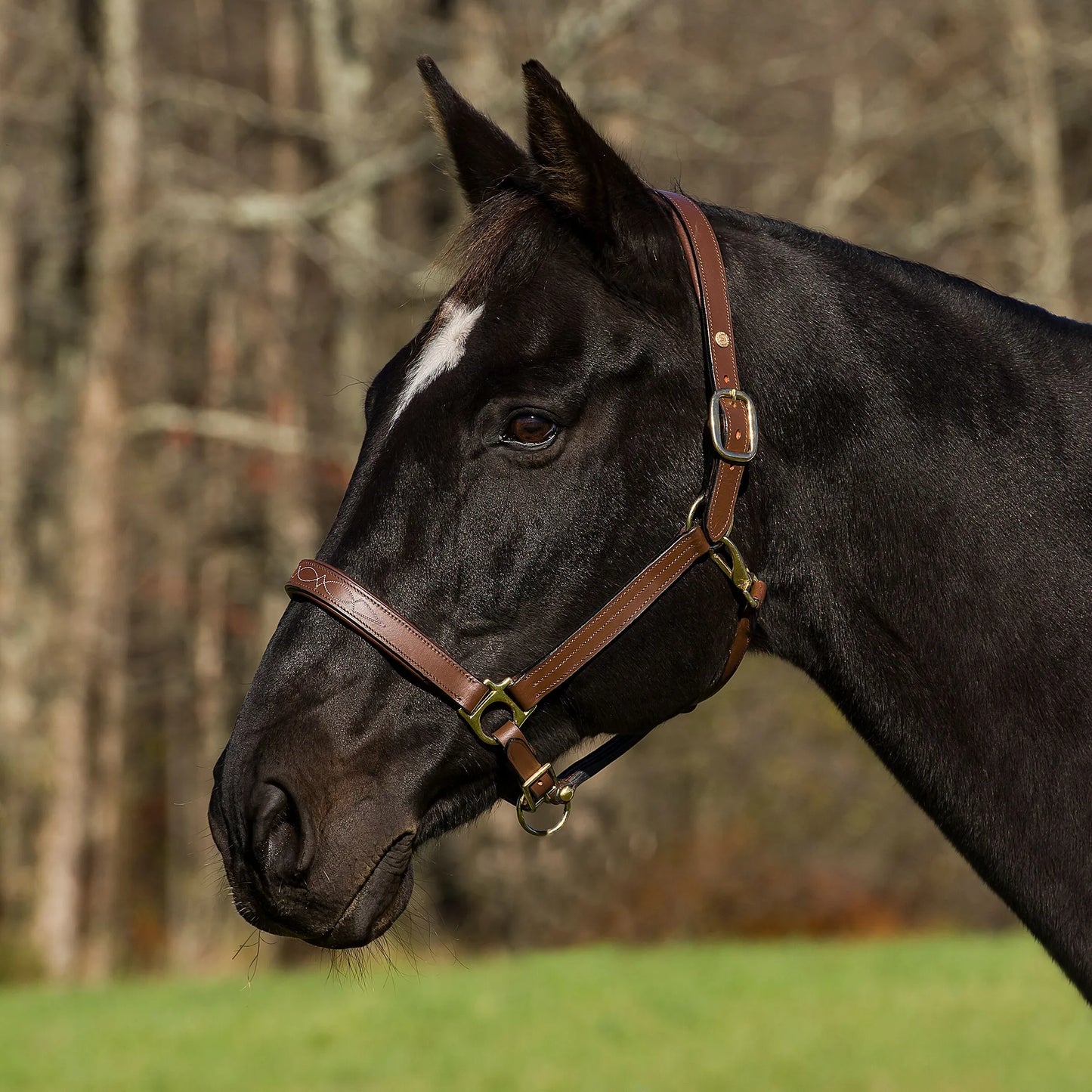 Henri de Rivel Pro Fancy Padded Rolled Throat Triple Stitched Halter - Oak Bark - Cob