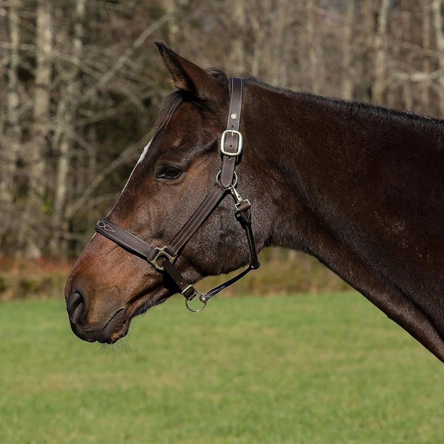 Henri de Rivel Pro Fancy Padded Rolled Throat Triple Stitched Halter - Oak Bark - Cob